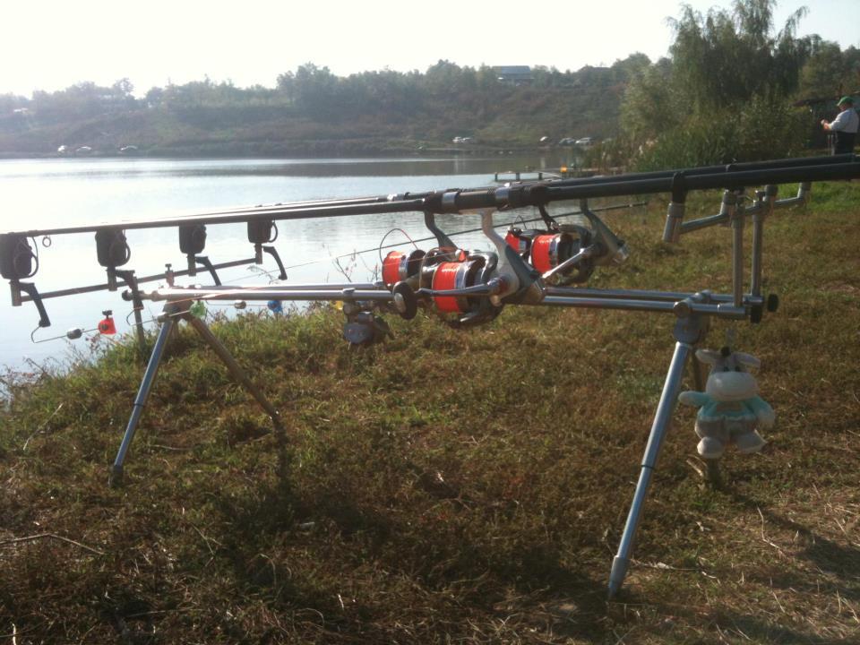 Poze - 377447_241679035960627_2081593773_n.jpg